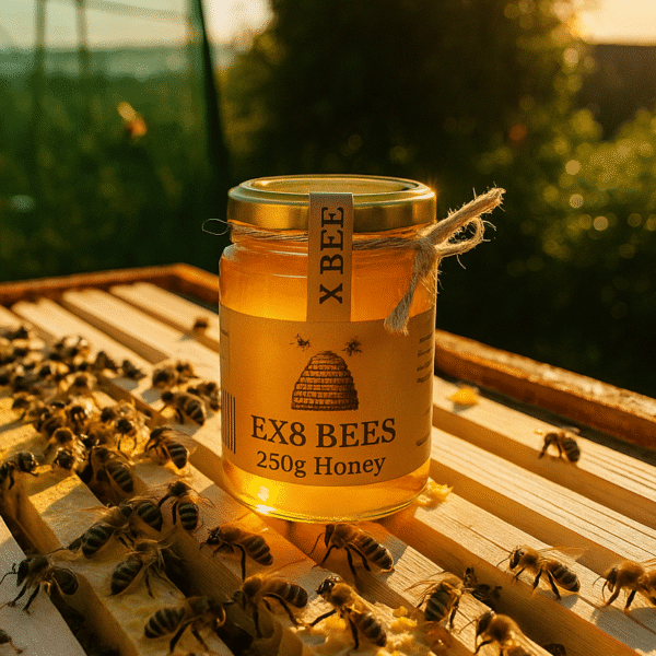 A close-up photo of a 250g jar of EX8 BEES honey on a beehive, with bees crawling on the honeycomb and label. The jar has a kraft paper label and rustic twine, and the honey inside glows golden in the sunlight.